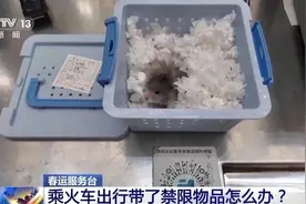 榴莲能带不能吃，烟、酒携带有限制！你准备的年货是否能带上车？快来了解一下！图片
