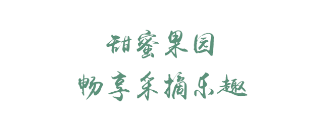 乐游绵阳 清凉一夏 ‖ 走出浪浪山，996 暂停！邀你来体验盐亭夏日山系生活！