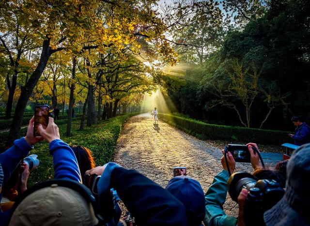 明孝陵清晨现丁达尔绝美景观
