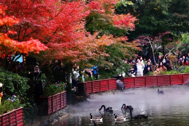 老广们！即刻出发“朗京嘿哈山”啦～