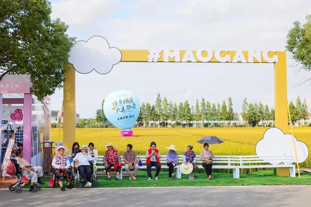 人民日报·大江东 | 守着“上海之根”大IP，松江文旅如何破圈当顶流？