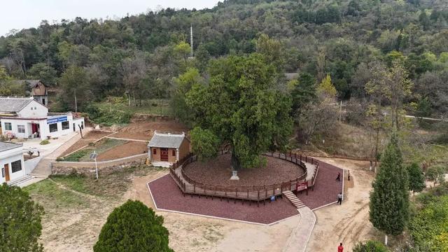 躲进22℃的商洛，5条宝藏线路带你清凉一“夏”→