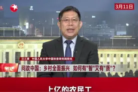 汪三贵：发展县域经济 让农民在“家门口”致富图片