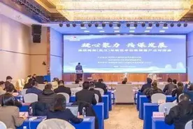 还没引入，大陆新能源车的热度让台湾有些人坐不住了图片