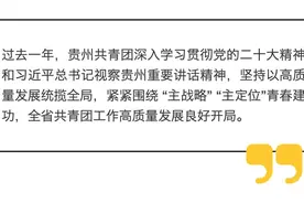 贵州共青团2024年重点工作部署会议召开图片