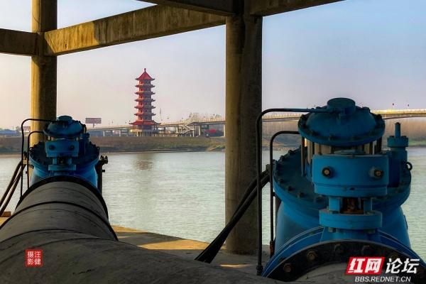 安乡桥景：塔影桥声里的故乡