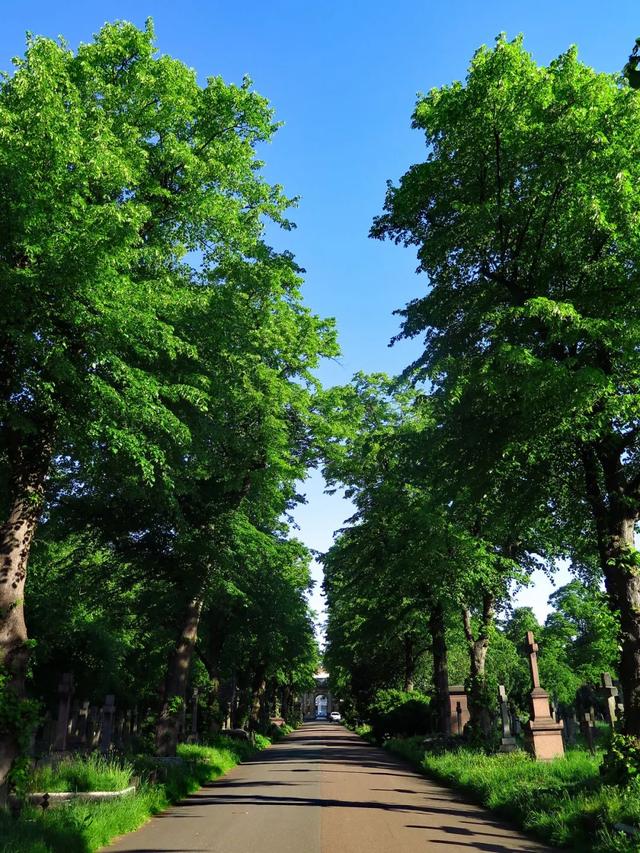 清明逛逛「鬼地方」：墓地散步指南