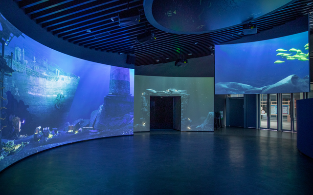 连休五天，浙L大部队已到……