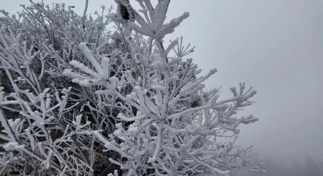 多地下雪！广西限定版“冰雪世界”已上线