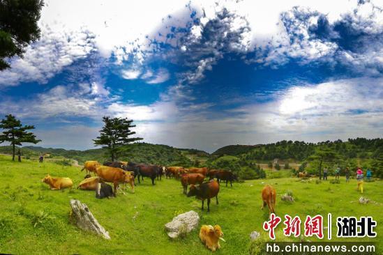 湖北夷陵“清凉游”今夏受热捧