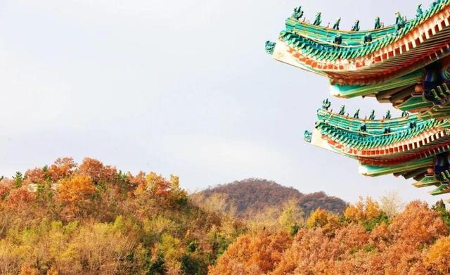 威海这个4A级旅游景区免费！登山看海+千年祈福，初冬盛景不辜负