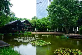 坐地铁就能直达的公园，静安有哪些？图片