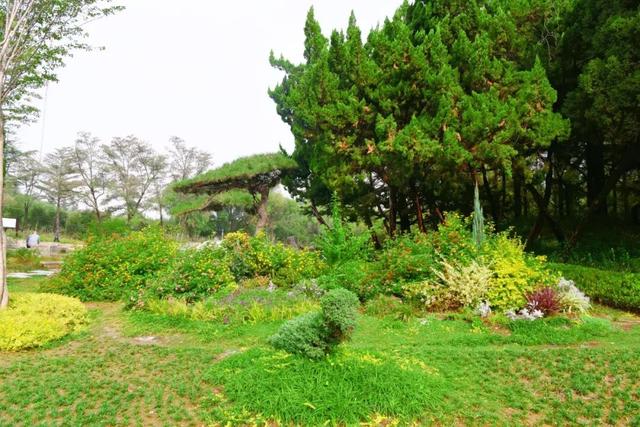 焕新归来！沂水东皋公园：四季有景夜有光 古塔生辉美出圈