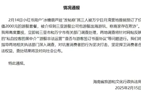 海南通报“游客称被商家欺诈推销2000元游艇套餐”：调查图片