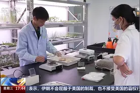 走进“南繁硅谷” 看一颗种子的奇妙之旅图片
