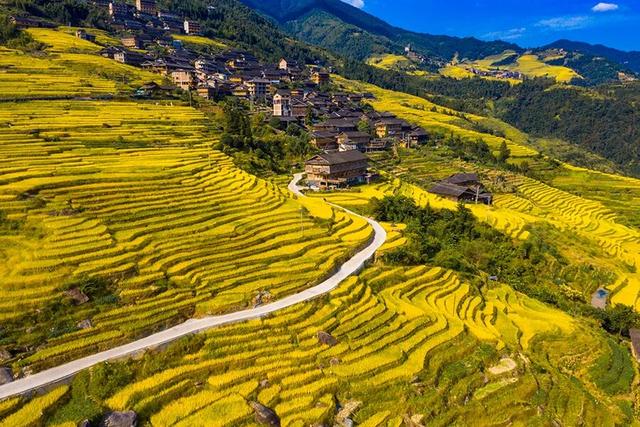 八桂秋韵！举起相机，把广西秋色拍成旅行基金！