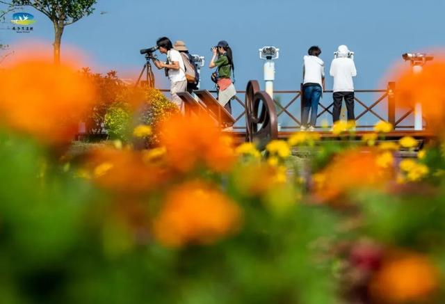 想吃正宗东台本港海鲜吗？