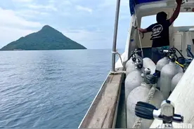 难忘那一刻，我钻进鱼类风暴之眼！半岛记者体验世界头号潜水胜地图片