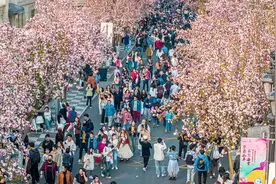 天津“五一”旅游地图来了图片