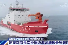 南极除了企鹅，还有哪些奇特的生物？图片