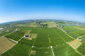 双向奔赴 共富共美，浙江合力下好耕地保护“新棋局”图片