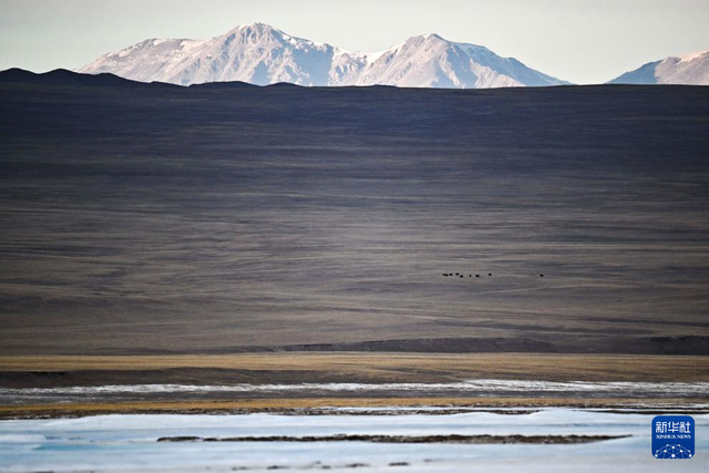 走进阿尔金山 镜遇秘境昆仑