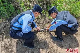 黑龙江抚远：耕地内出现野生黑熊图片