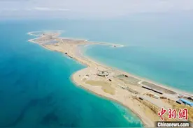 《青海湖野生动植物名录》通过专家评审 进一步明确生物多样性“家底”图片