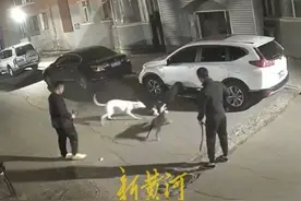 小区内深夜斗狗猎杀猫咪？属地派出所：正在调查图片