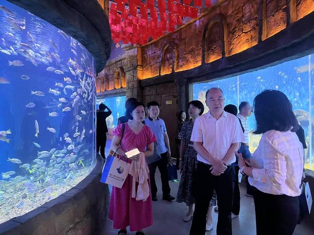文武双全 “暑”于南海！南海政协实地调研，把脉暑期文旅融合新课题