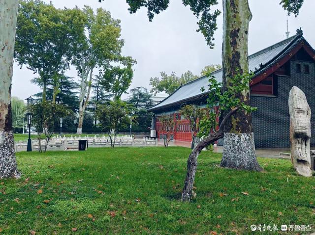 双节拍 | 雨中逛一逛，济南四大泉群之一——珍珠泉