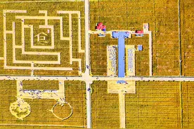 田野当T台，这场农耕文旅节上的“乡村超模队”走出范儿图片