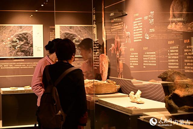 “一院六馆”破圈：看呼和浩特如何刷新北疆文化名片