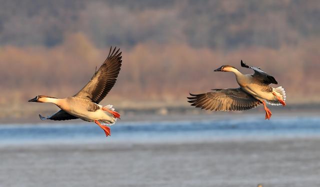 冬日里的童话世界！沈阳宝藏打卡地，攻略来了→