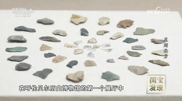 呼伦贝尔再登央视！