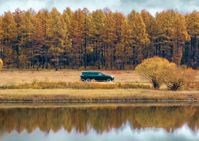 欢迎来到，秋天的廊道