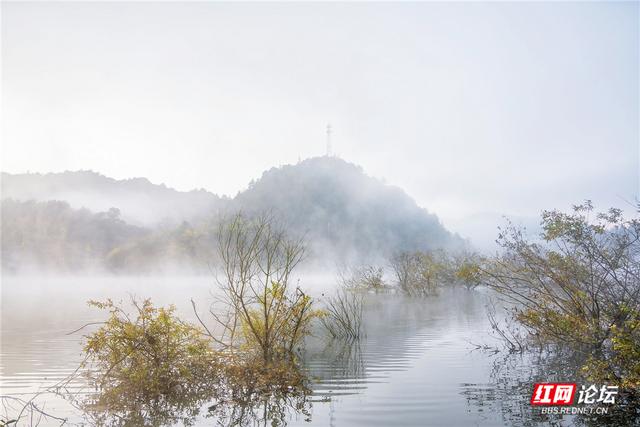 【每日一图@湖南】打卡靖州冬日C位！“杨梅之乡”藏着生态活画卷