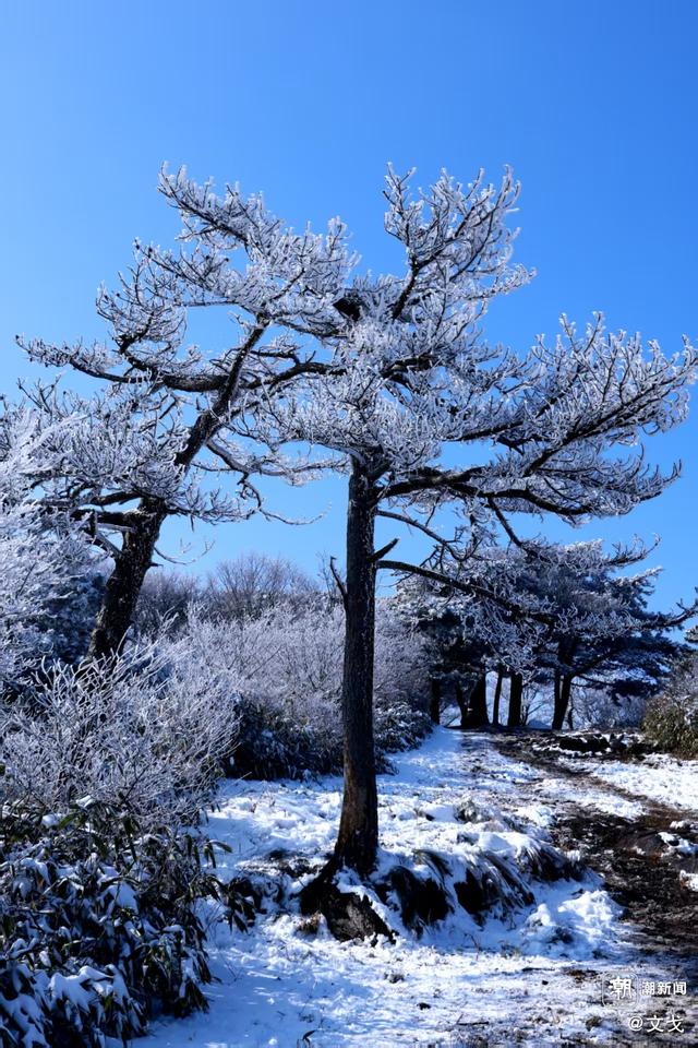 晚潮｜桐杭岗今冬第一场大雪