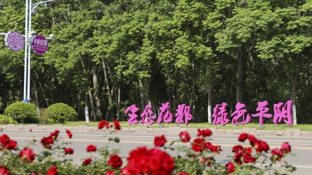 这里不止阿胶和玫瑰！济南平阴18处共享绿地 22公里绿道 逛公园成生活常态