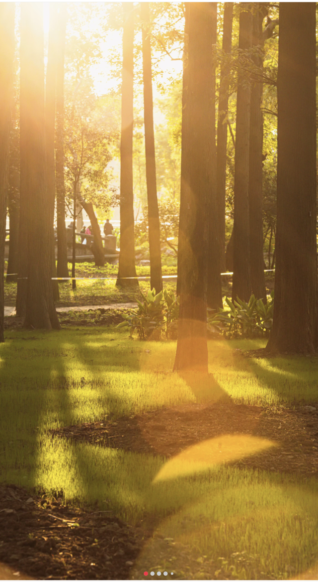 南京这里，美到刷屏了！