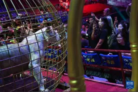 河北承德：特色演出点亮“夜经济”图片