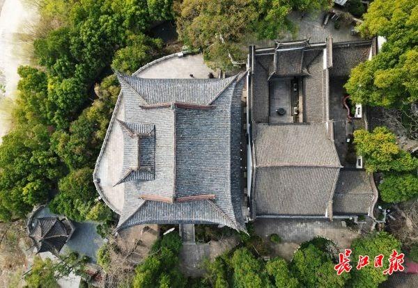 再登晴川阁，望江赏樱花