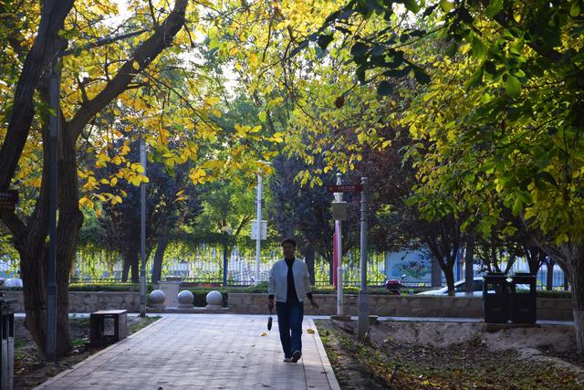 组图丨武威秋景：满目斑斓色 一园清雅风