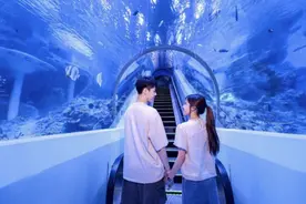 教师入园享99元特惠票！广州海洋馆推出多重惠民福利图片