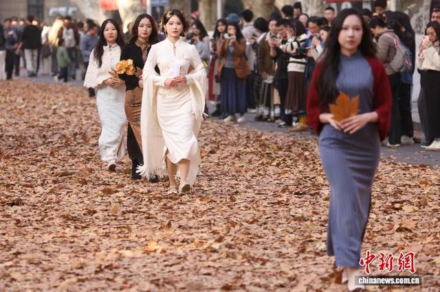 东南大学最美200米落叶景观华丽“上线”