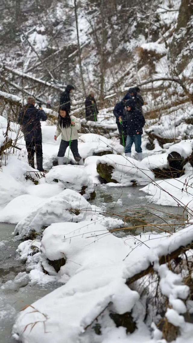 第一批退票日本的年轻人，去吉林了