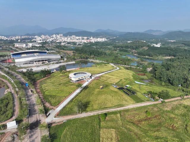 白沙喜提国家2A级旅游景区，陨石坑生态茶园+集市周末联动玩法请收藏！