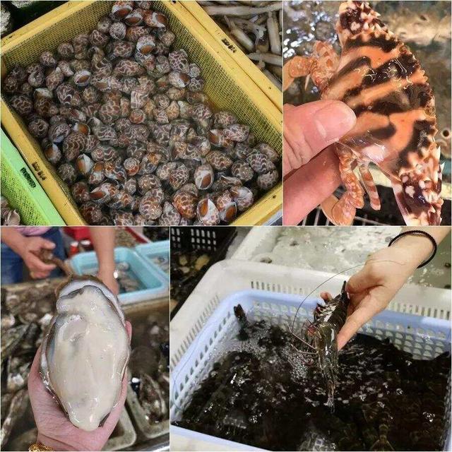 广东人的海鲜盛宴来了，探寻广州“尝鲜”的好去处