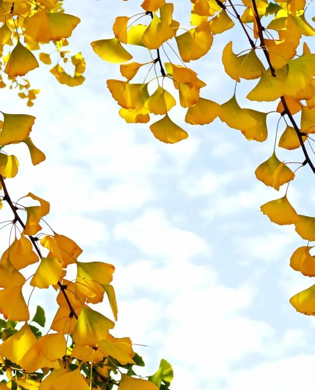 公安，等你入画