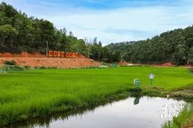 盘活“巴掌地”，梅县探索全域土地综合整治扩面提质新路径图片
